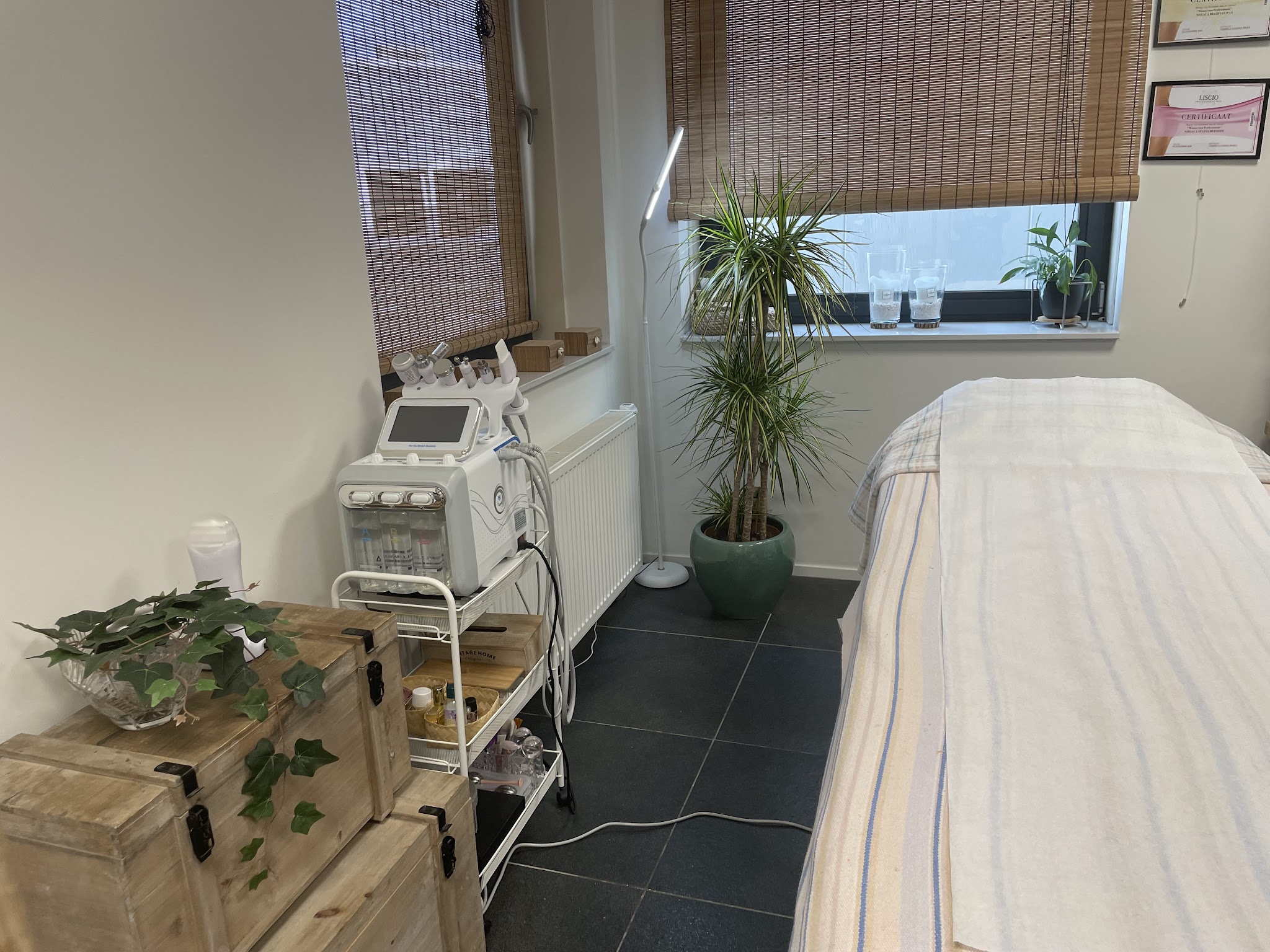 Behandelapparaat op een trolley naast het behandelbed, met planten bij het raam